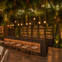 Chez Louis II – View 3 rainforest canopy