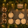 Chez Louis II – View 6 rainforest canopy